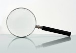 Organic Search Terms