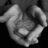 rice-in-hands